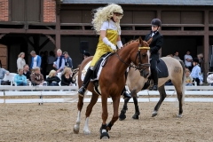 lf2008_1133