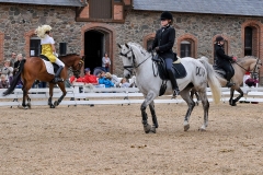 lf2008_1135