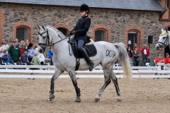 lf2008_1136