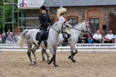 lf2008_1159