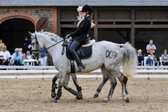 lf2008_1162