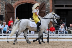lf2008_1166