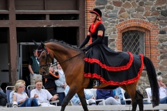 lf2008_1173