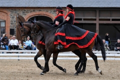 lf2008_1205