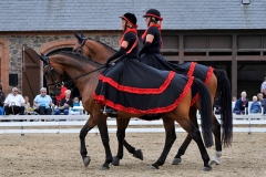 lf2008_1231