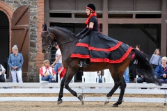 lf2008_1250