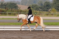 matpr2008_5668
