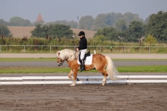 matpr2008_5669