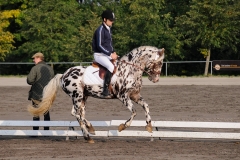 matpr2008_5672