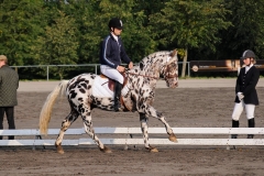 matpr2008_5673