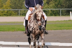 matpr2008_5675