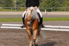 matpr2008_5676