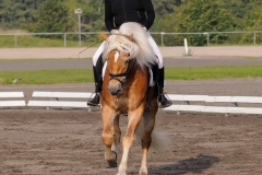 matpr2008_5677
