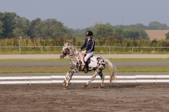 matpr2008_5682