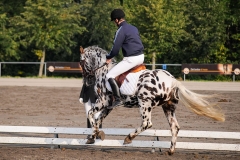 matpr2008_5684