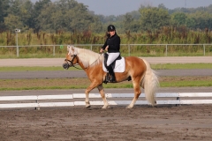 matpr2008_5686