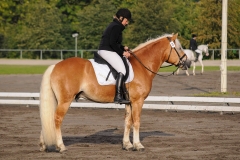 matpr2008_5691