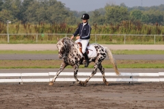 matpr2008_5692