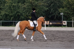 matpr2008_5706