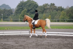 matpr2008_5723