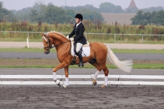 matpr2008_5744