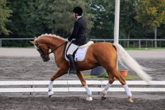 matpr2008_5747