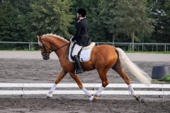 matpr2008_5748
