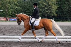 matpr2008_5749