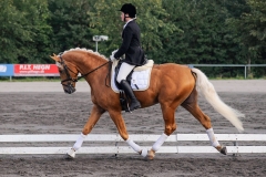 matpr2008_5750