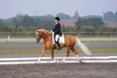 matpr2008_5752