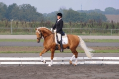 matpr2008_5753