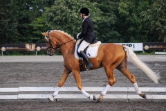 matpr2008_5758
