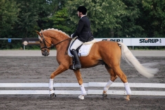 matpr2008_5761