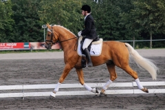 matpr2008_5765