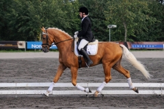 matpr2008_5766