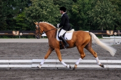matpr2008_5771