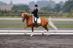 matpr2008_5776