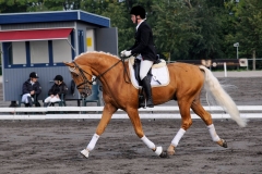 matpr2008_5782