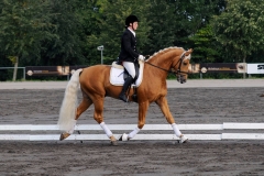 matpr2008_5790