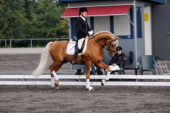 matpr2008_5796