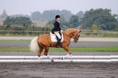 matpr2008_5805