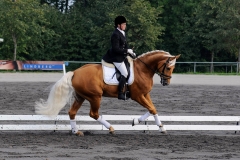 matpr2008_5815