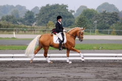 matpr2008_5823