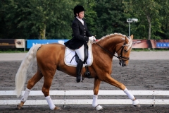 matpr2008_5833