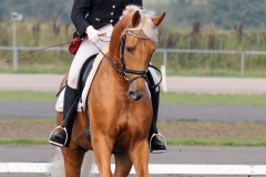 matpr2008_5855
