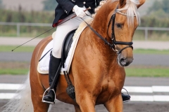 matpr2008_5856
