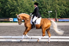 matpr2008_5872
