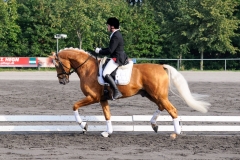 matpr2008_5878
