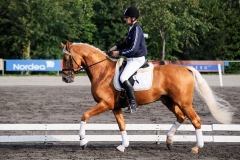 matpr2008_5902