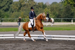 matpr2008_5914